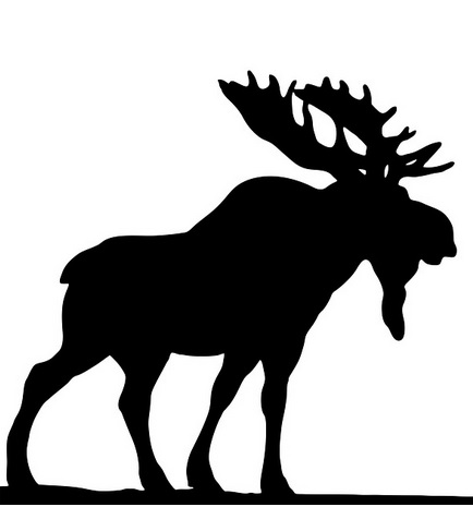 moose