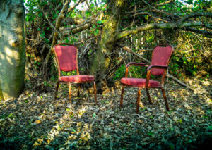 two chairs in the woods