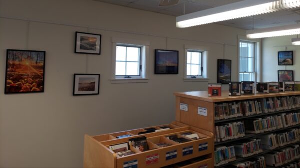 picture of Jim Cook's art displayed at the library