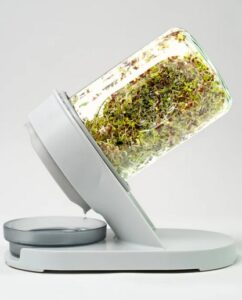 image of sprouts in a glass container