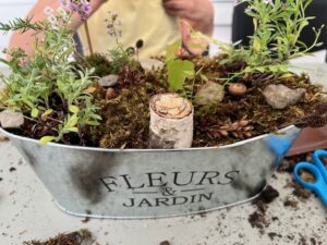 picture of a mini garden with dirt, plants, a thick stick as a stump, and rocks